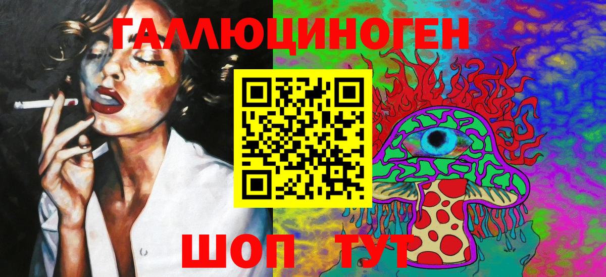 Людиново  закладки  Галлюциногенные грибы Psilocybine cubensis  Вход с VPN  Псилоцибиновые грибы прущие грибы 